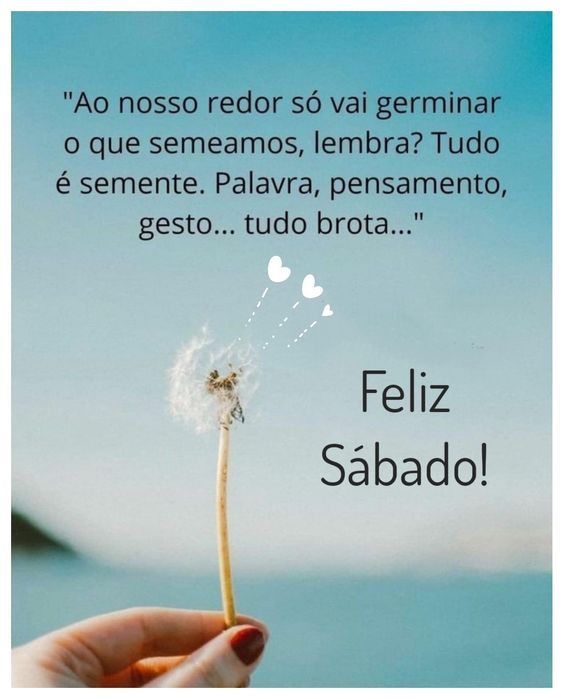 Feliz sábado vai germinar