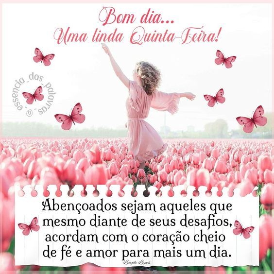 Uma linda quinta-feira