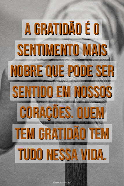 A gratidão é o sentimento mais nobre