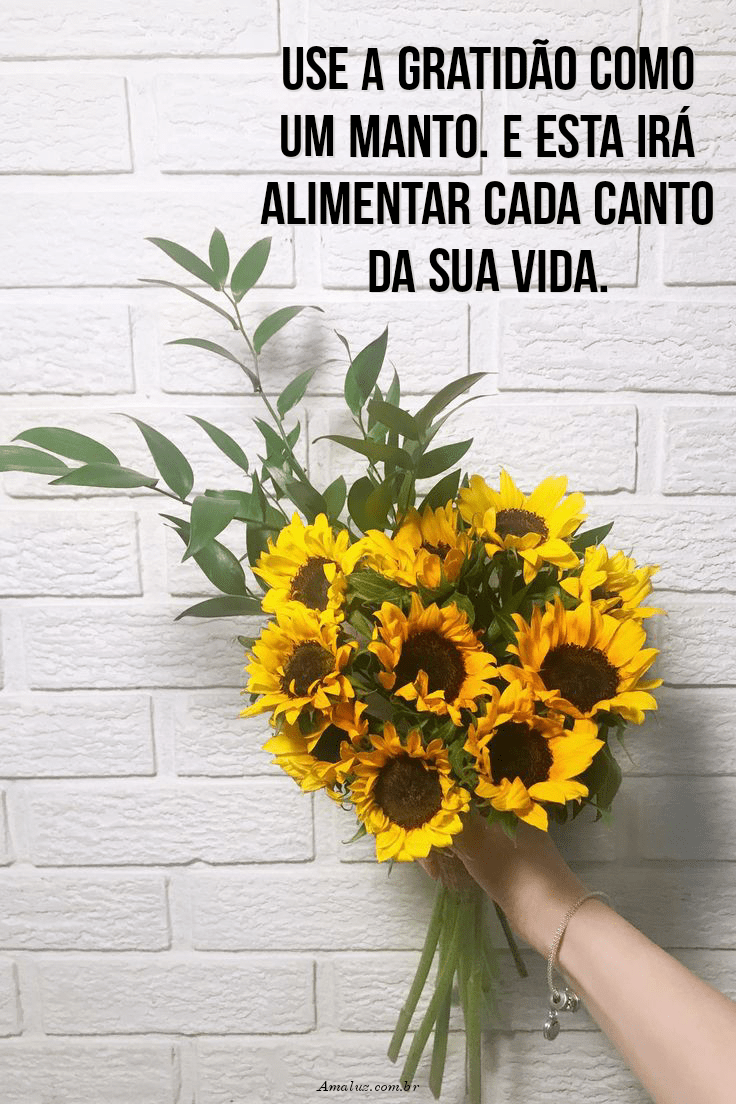 Belas mensagens de gratidão