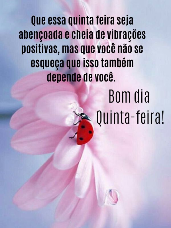 Bom dia quinta-feira vibrações