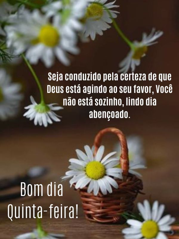 Bom dia quinta-feira conduzida