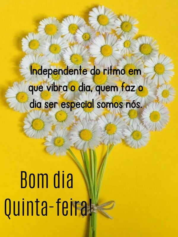 Bom dia quinta-feira independente