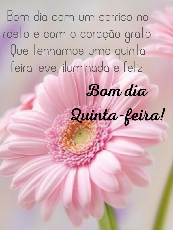 Mensagens de Bom dia Quinta-Feira linda e Abençoada para Whatsapp Mensagens de Bom dia Quinta-Feira linda e Abençoada para Whatsapp