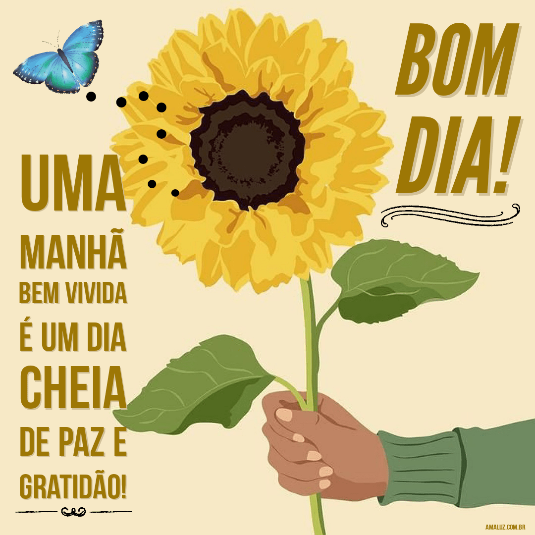 Bom dia com paz e gratidão para Instagram