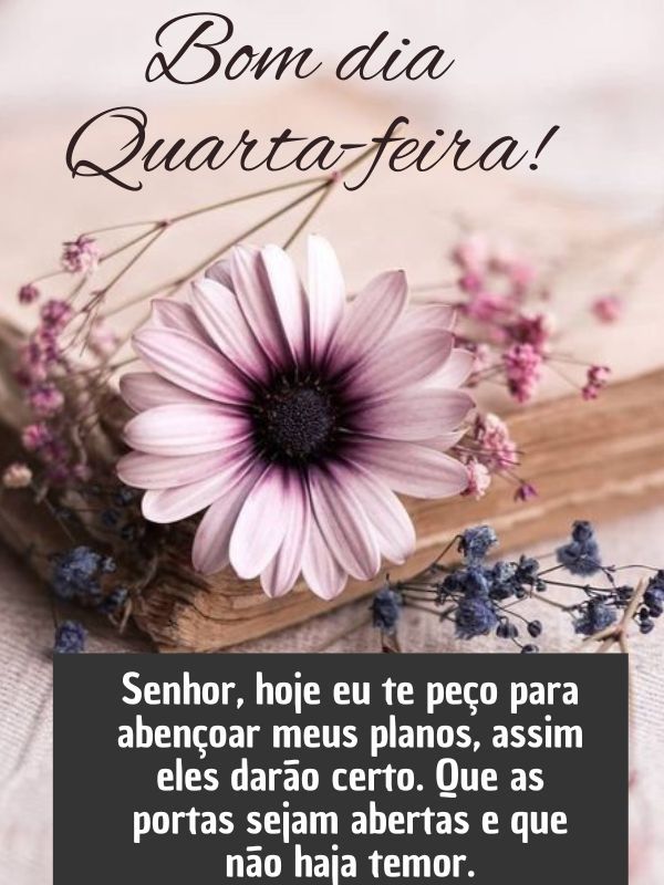 Bom dia quarta-feira com Deus planos