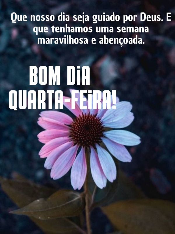 Bom dia quarta-feira com Deus guiado