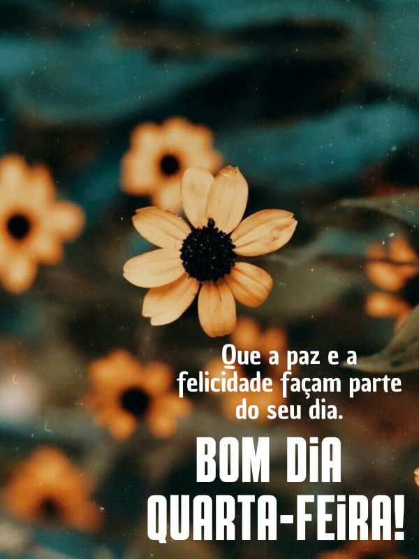Bom dia quarta-feira com Deus felicidade