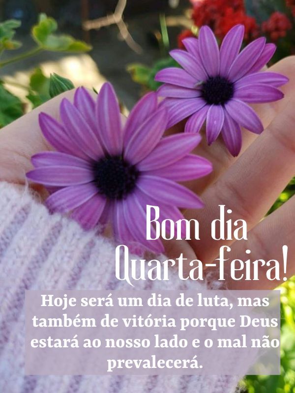 Bom dia Quarta-feira com Deus! Imagens com Lindas Frases Bom dia Quarta-feira com Deus! Imagens com Lindas Frases