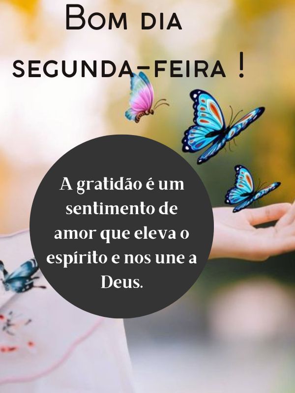 41 Frases de Bom dia Segunda-feira Abençoada de Paz e Gratidão 41 Frases de Bom dia Segunda-feira Abençoada de Paz e Gratidão