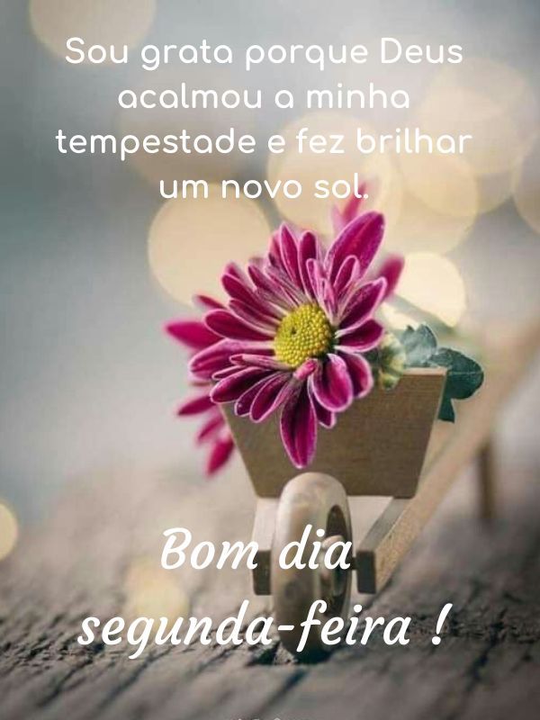Bom dia Segunda-feira Abençoada sol