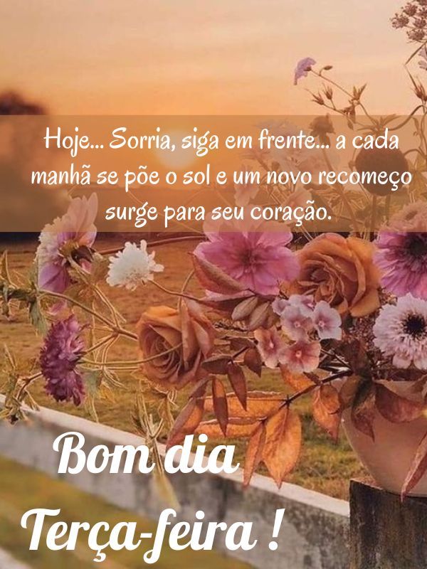 Bom dia terça feira abençoada sorria