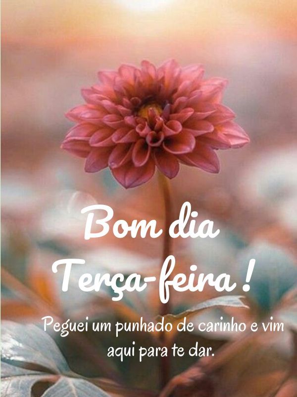 Bom dia terça feira abençoada carinho