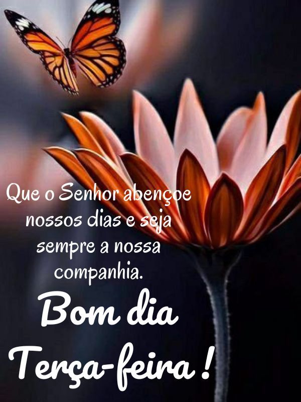 Bom dia terça feira abençoada companhia