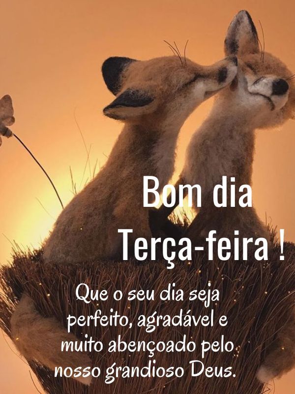 Bom dia terça feira abençoada perfeito