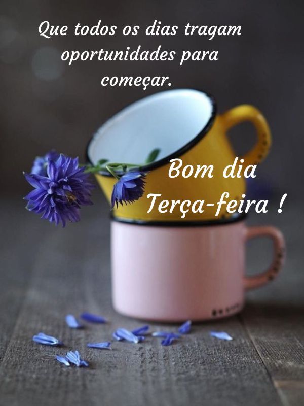 Bom dia Terça-feira Maravilhosa! Frases e Mensagens para Todos