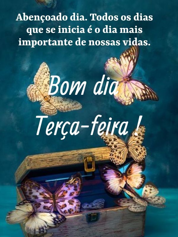 Bom dia terça feira abençoada borboletas