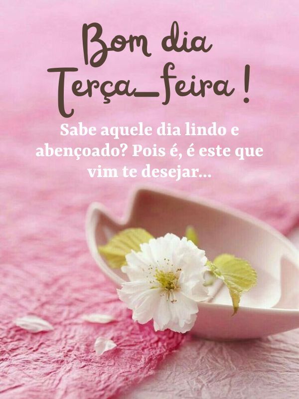 Bom dia terça feira abençoada flores