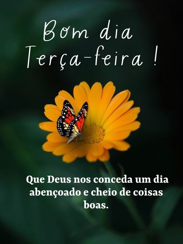 Bom dia terça feira abençoada carinho