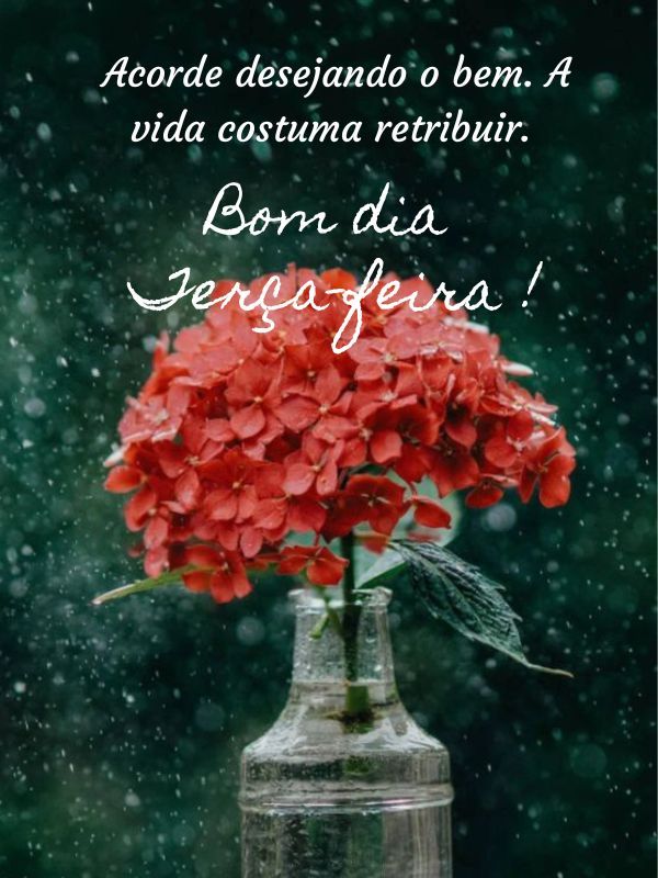 Bom dia terça feira abençoada retribuí