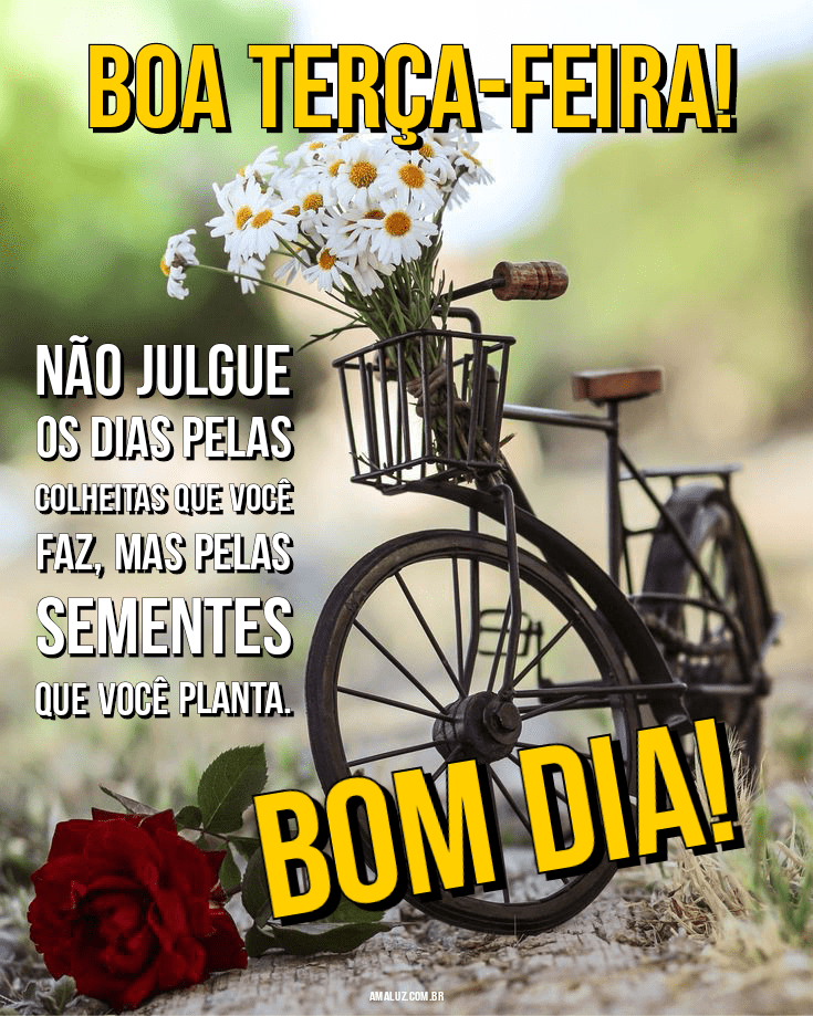 Frases de Bom dia Terça-feira para Instagram com Imagens Tumblr Frases de Bom dia Terça-feira para Instagram com Imagens Tumblr