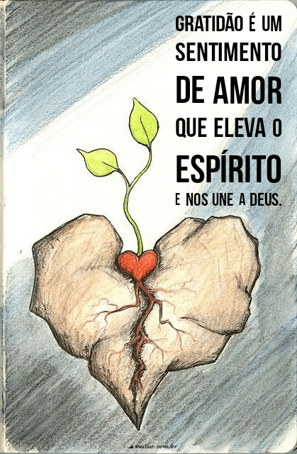 Gratidão é um sentimento de amor