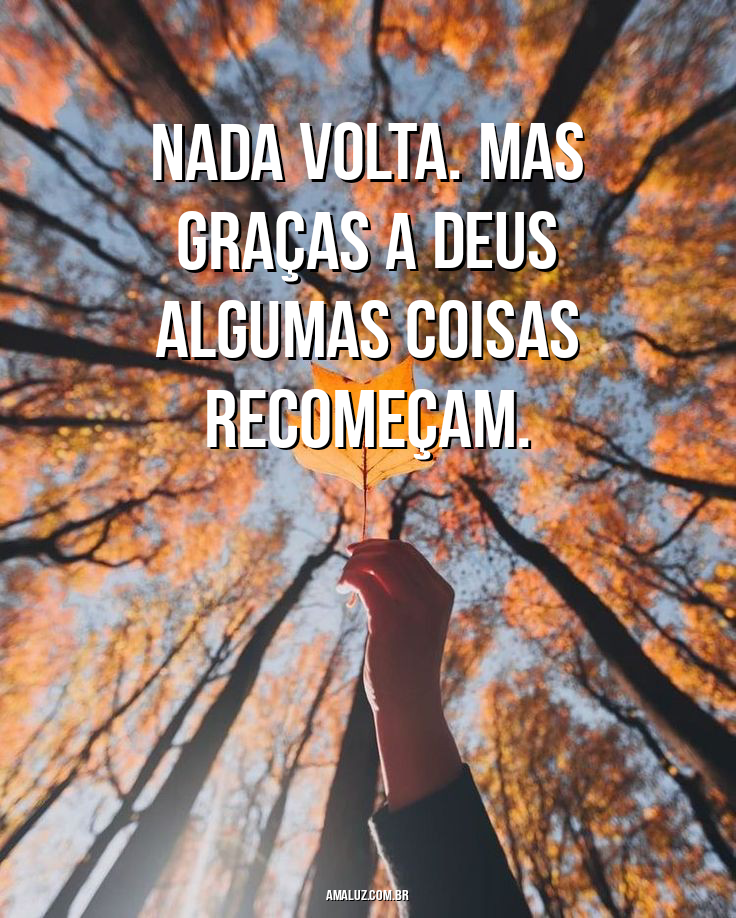 Tudo se renova e recomeça