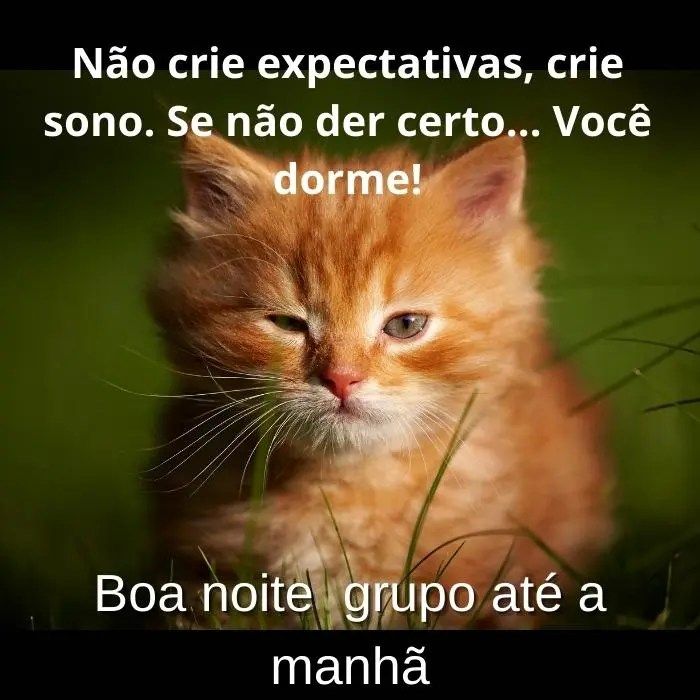 Boa noite grupo até amanhã