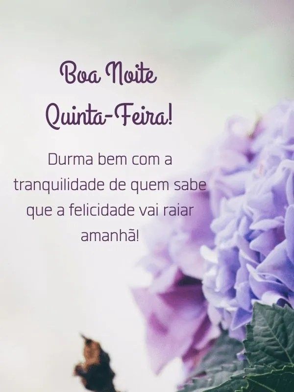 Boa noite quinta-feira linda