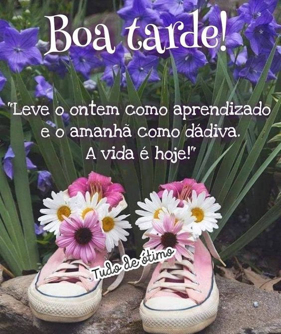 Boa tarde a vida é hoje