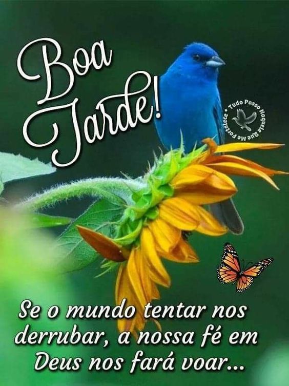 Boa tarde a nossa fé