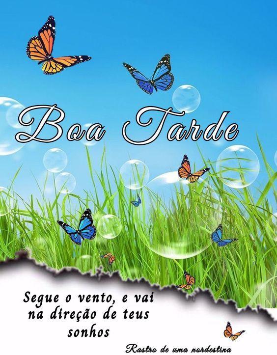 Boa tarde de teus sonhos