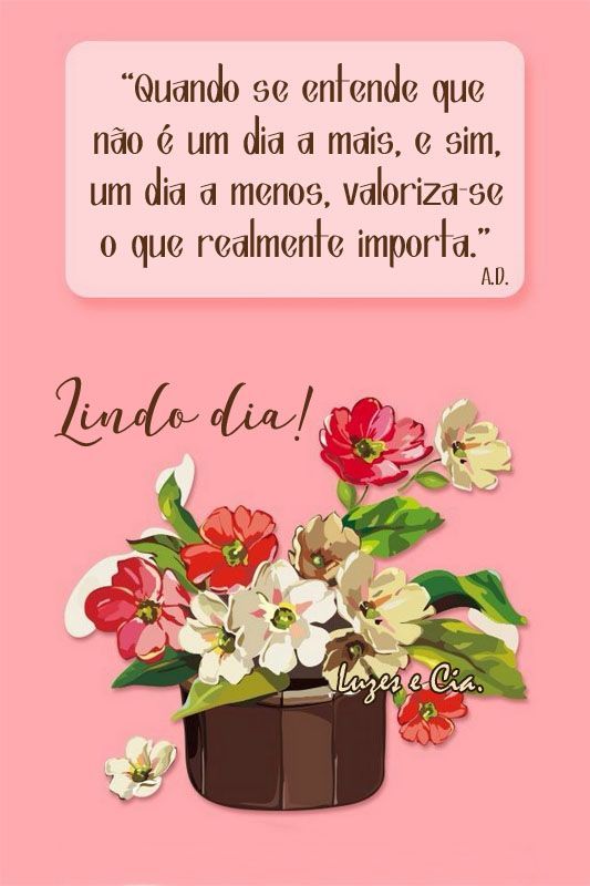 Lindo dia valoriza-se