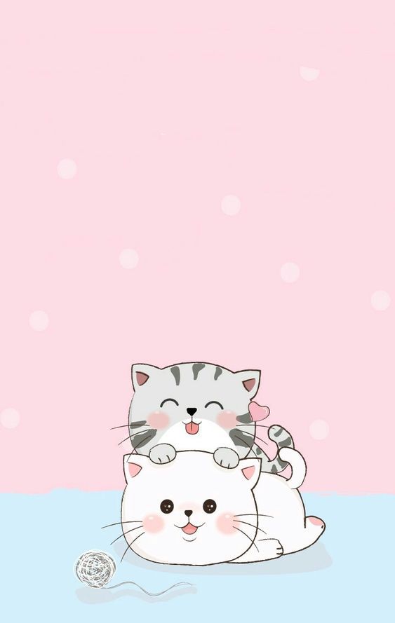 Wallpaper gatos fofos