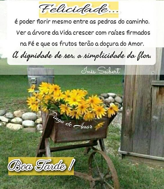 Felicidade é poder florir