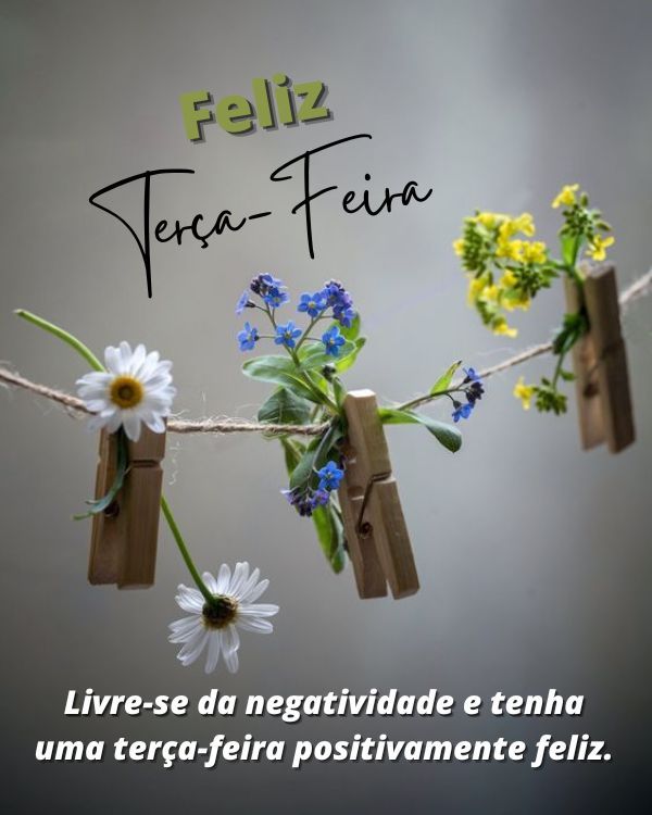 Frases de feliz terça-feira positiva