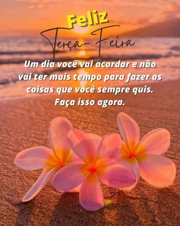 Belas imagens de feliz terça-feira