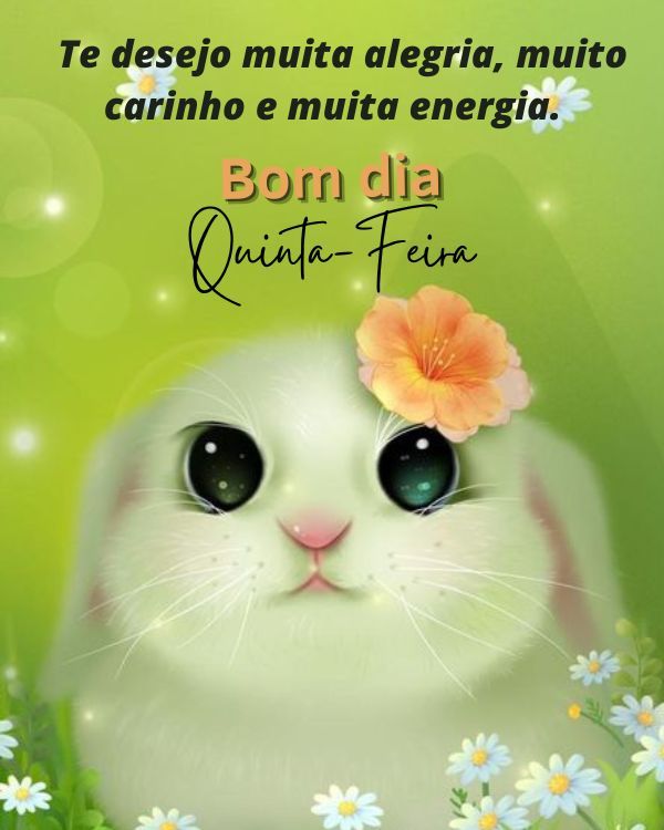 Frases De Bom Dia Quinta Feira Com Imagens Fofas E Engraçadas Frases De Bom Dia Quinta Feira Com Imagens Fofas E Engraçadas