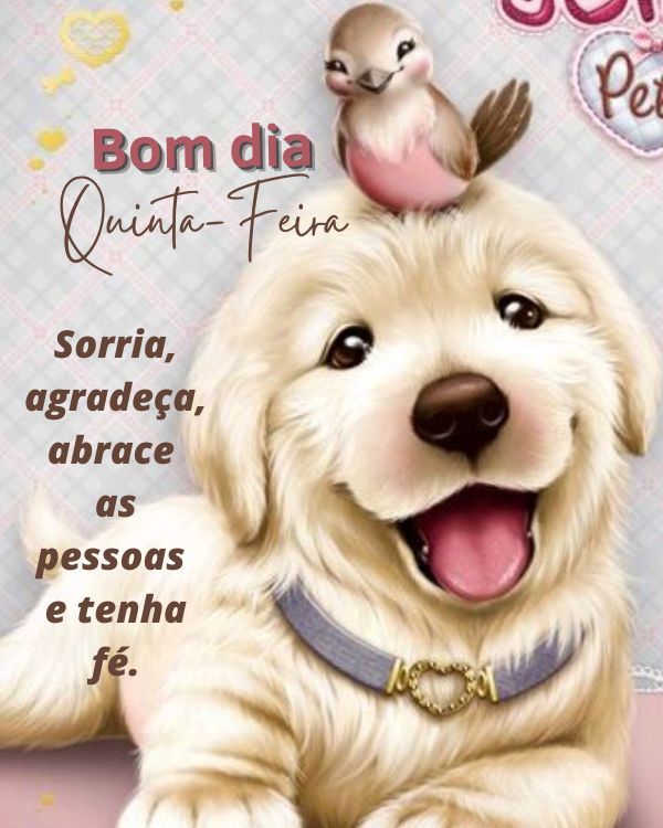 Sorria agradeça e abrace hoje