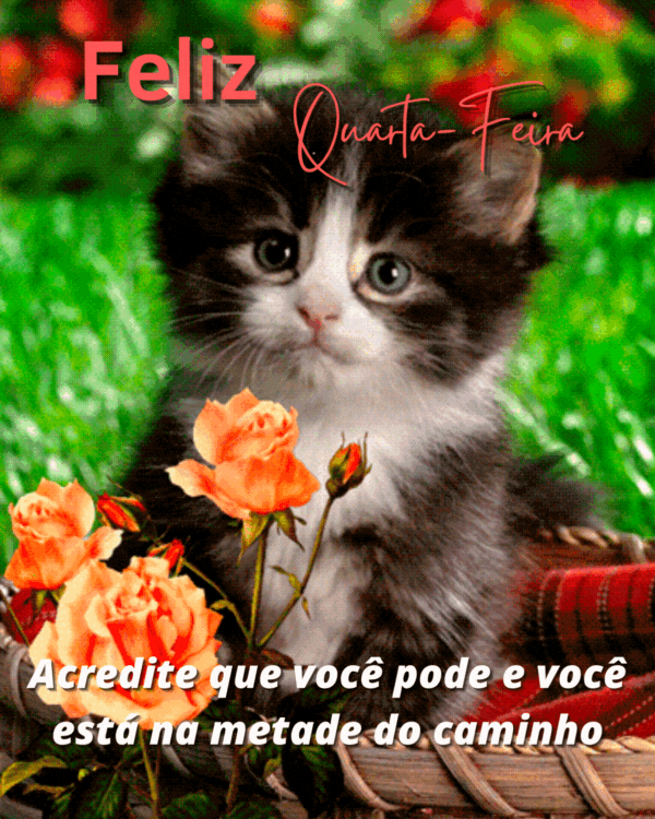 Acredite que você pode e esta no caminho certo