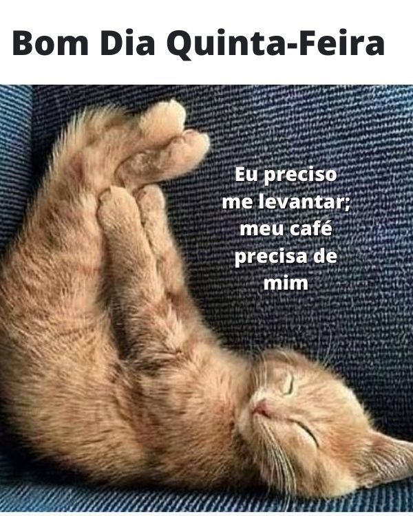 Eu preciso me levantar por que meu café precisa de mim