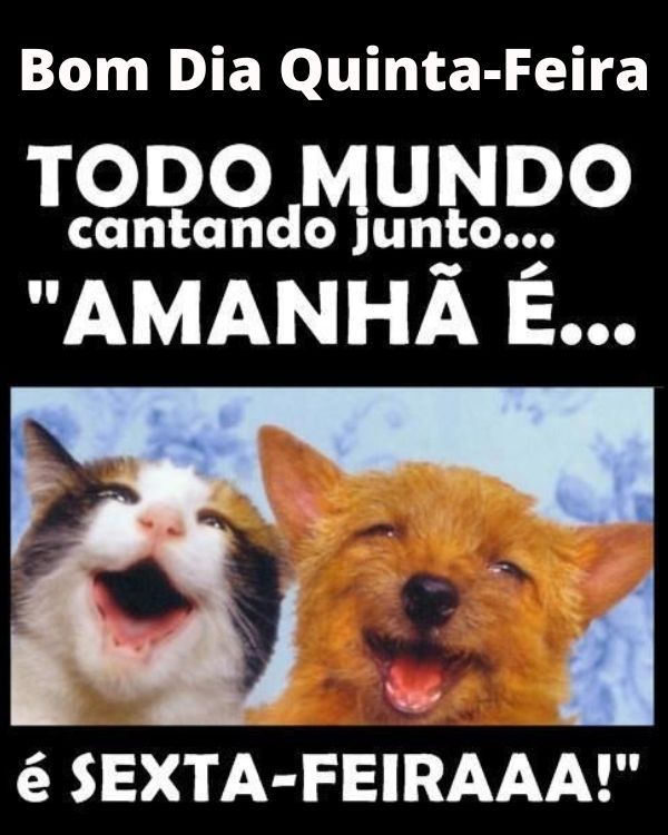 Imagens divertidas de quinta-feira