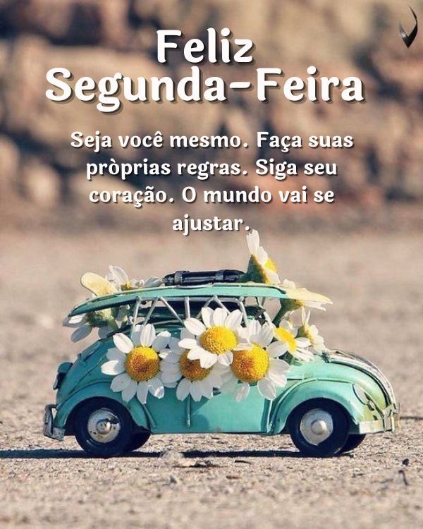 Bom dia com frases positivas de feliz segunda-feira
