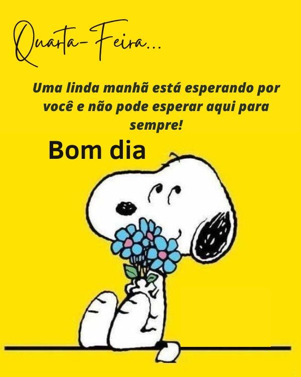 Uma linda manhã nós espera