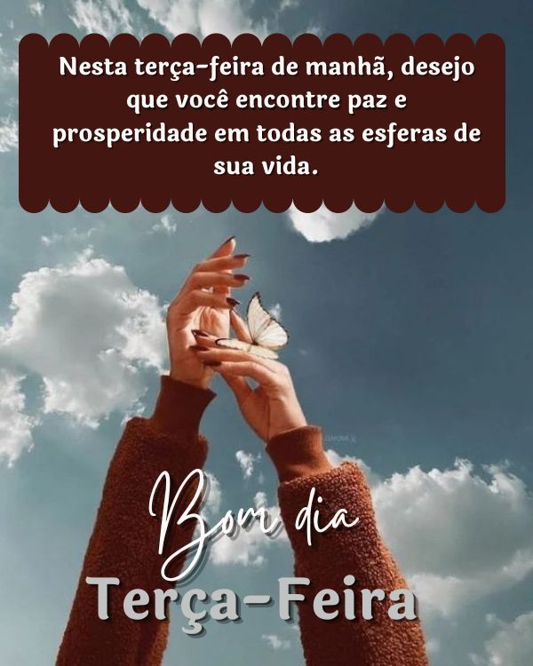 Desejo que você encontre a paz e sua vida