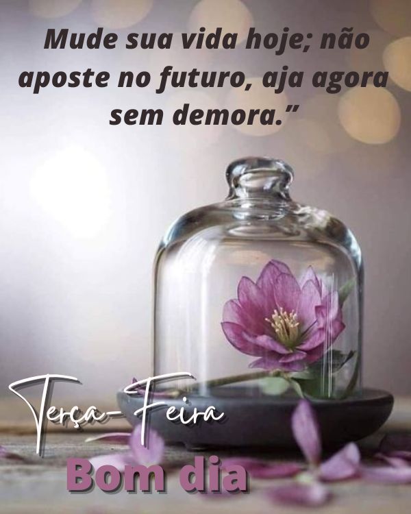 Mude sua vida hoje sem demora