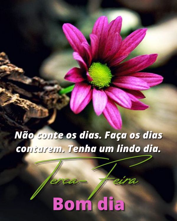 Imagens de feliz terça-feira