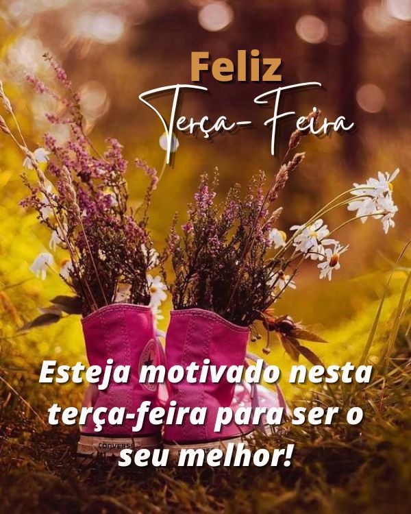 Feliz terça feira 
