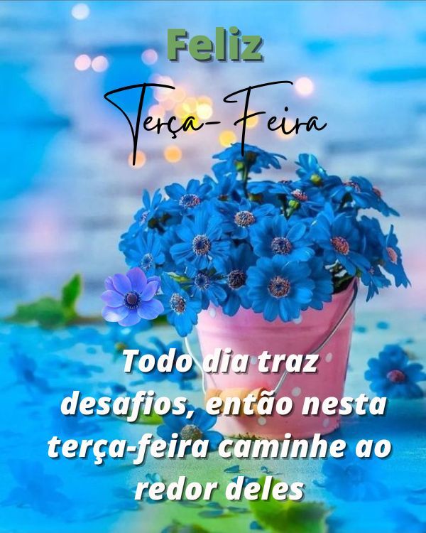 Todos os dias temos novos desafios 