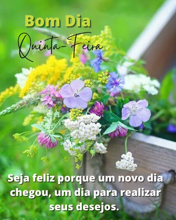 Seja feliz porque um novo dia chegou